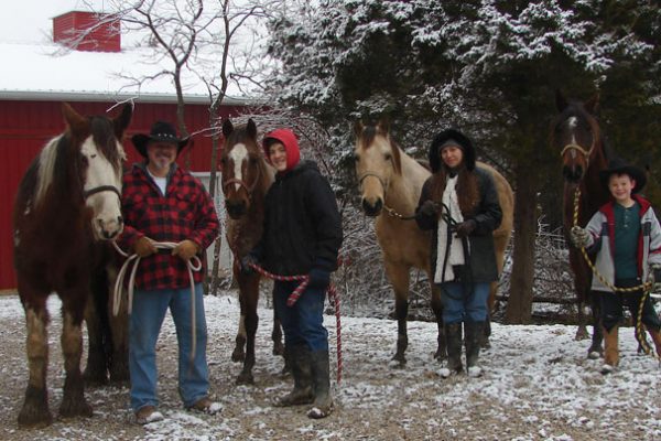 christmas_horses